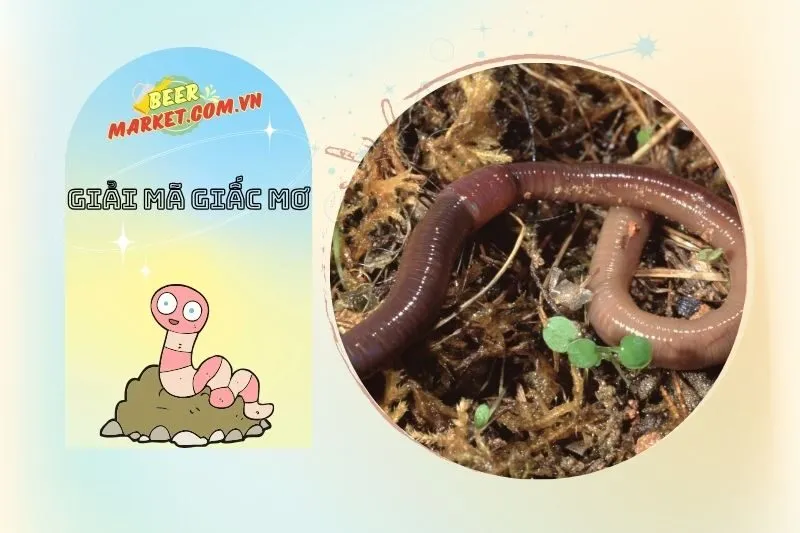 Nằm Mơ Thấy Giun Đất Báo Hiệu Điều Gì?