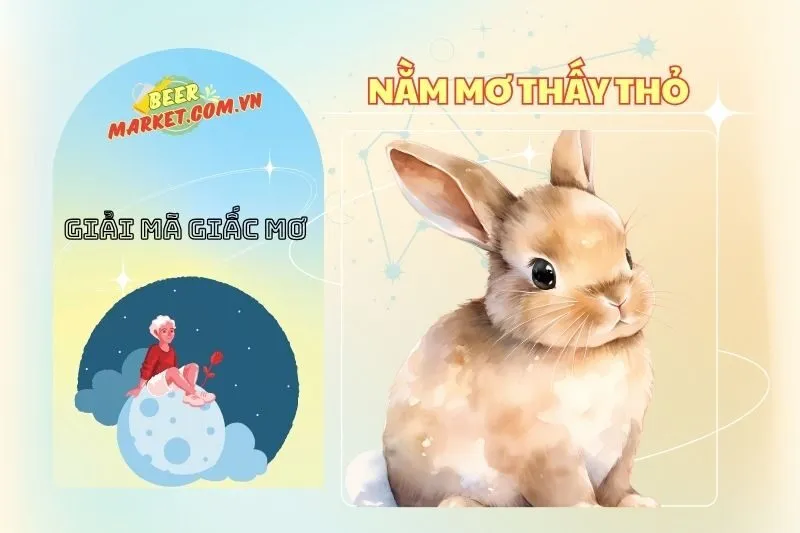 Nằm Mơ Thấy Thỏ: Ý Nghĩa, Điềm Báo và Con Số May Mắn 2025