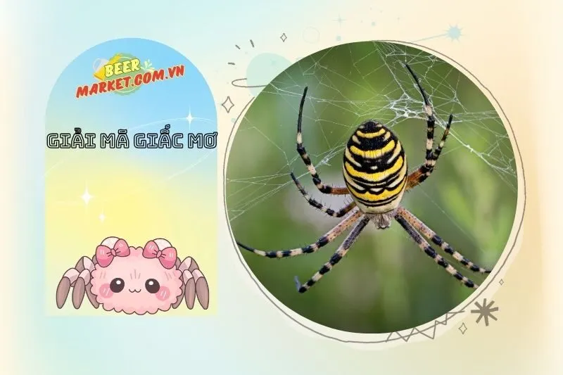 Nhện và Phong Thủy: Sự Liên Kết Giữa Giấc Mơ và Cảm Xúc