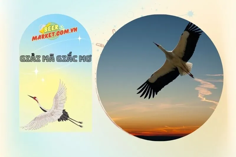 Những Điềm Báo Từ Giấc Mơ Thấy Cò Trắng