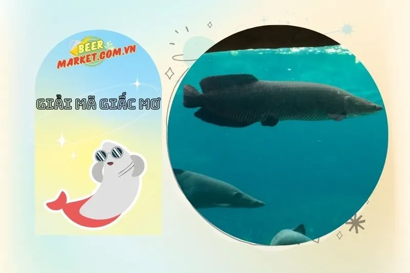 Những Điều Cần Biết Khi Mơ Thấy Cá Hải Tượng Trong Xổ Số