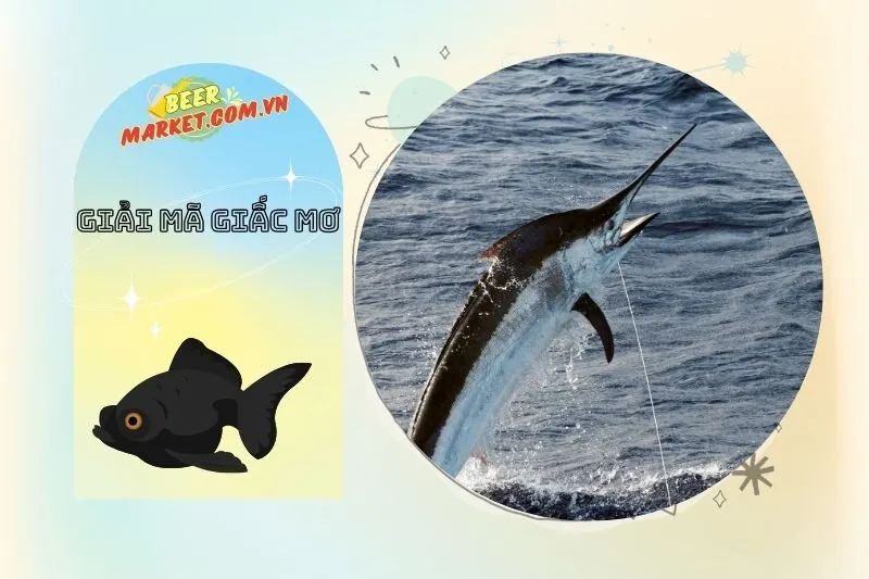 Những điều cần lưu ý khi gặp giấc mơ thấy cá đen