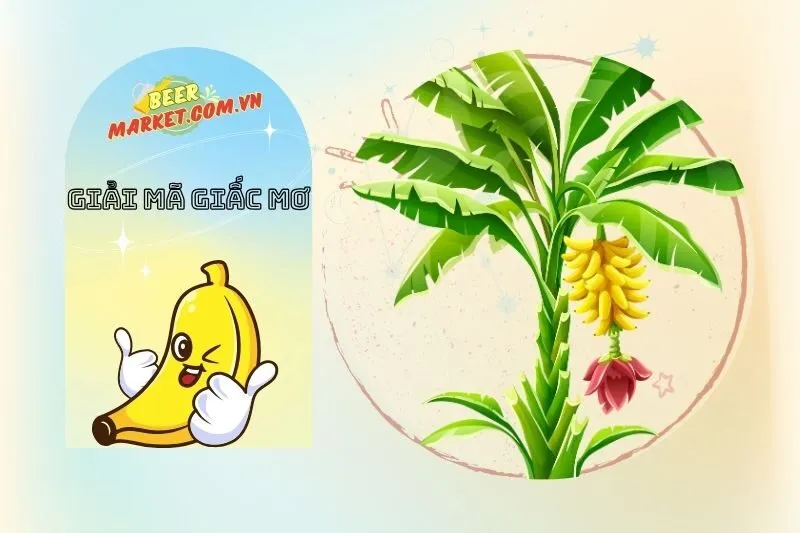 Những giấc mơ cụ thể về chuối và ý nghĩa chi tiết