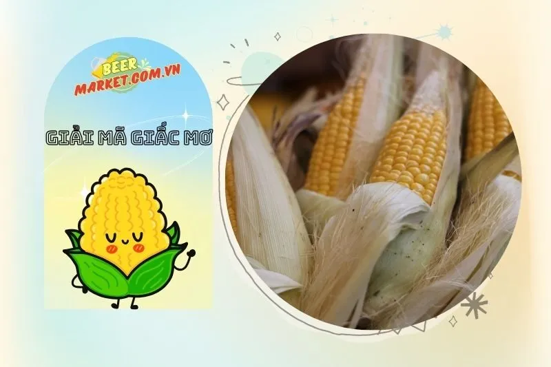 Những giấc mơ liên quan đến bắp ngô và cảnh báo sức khỏe