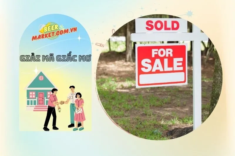 Những giấc mơ phổ biến liên quan đến việc mua đất