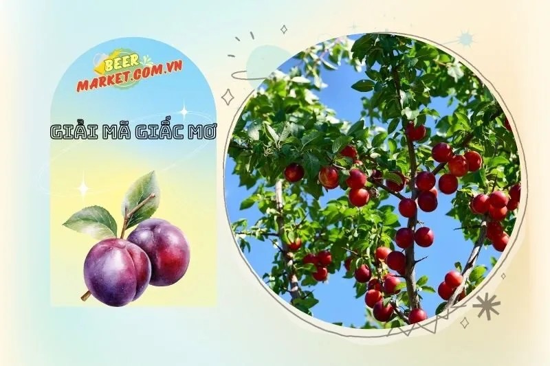 Những lưu ý khi giải mã giấc mơ về cây mận