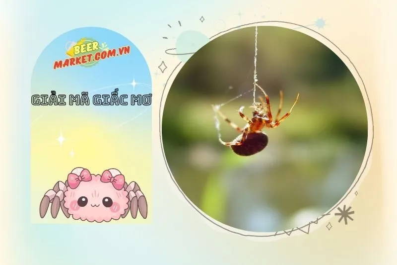 Những Tình Huống Cụ Thể Khi Mơ Thấy Nhện