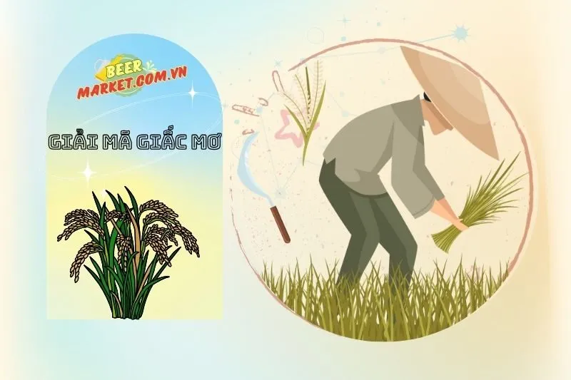 Những Tình Huống Khác Liên Quan Đến Lúa Trong Giấc Mơ