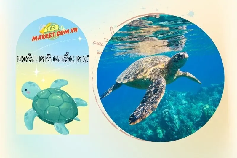 Những trường hợp cụ thể khi nằm mơ thấy con ba ba
