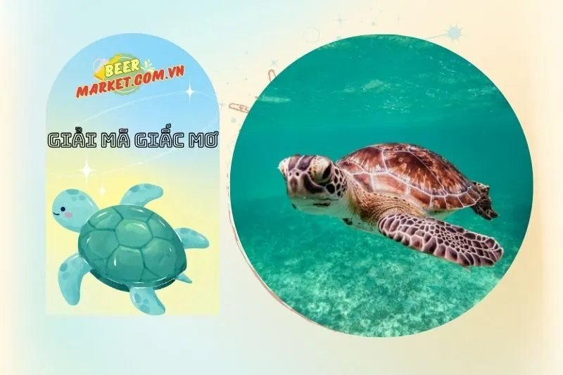 Tác động của giấc mơ thấy ba ba đến cuộc sống và công việc