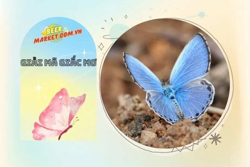 Tại sao bướm lại xuất hiện trong giấc mơ của bạn?