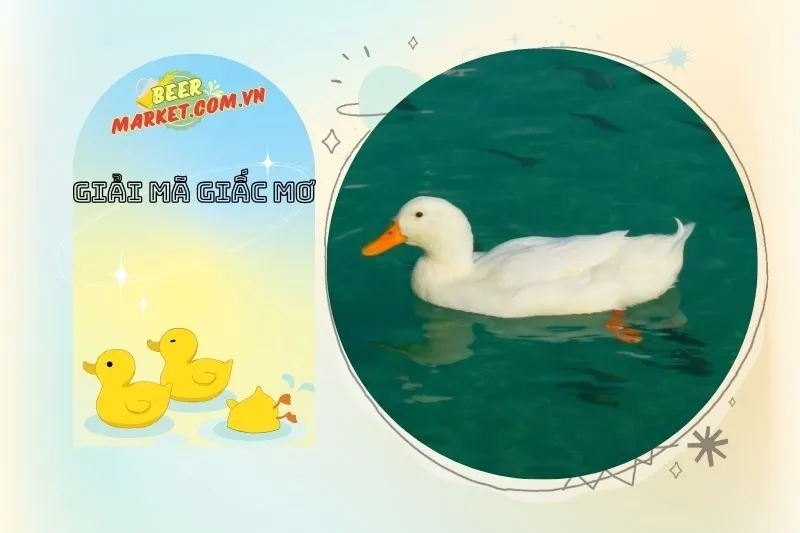 Tại sao giấc mơ thấy vịt lại có sự liên kết với sức khỏe?