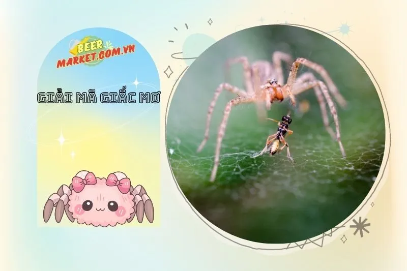 Tâm Lý Học và Giấc Mơ Thấy Nhện: Những Đặc Điểm Cá Nhân