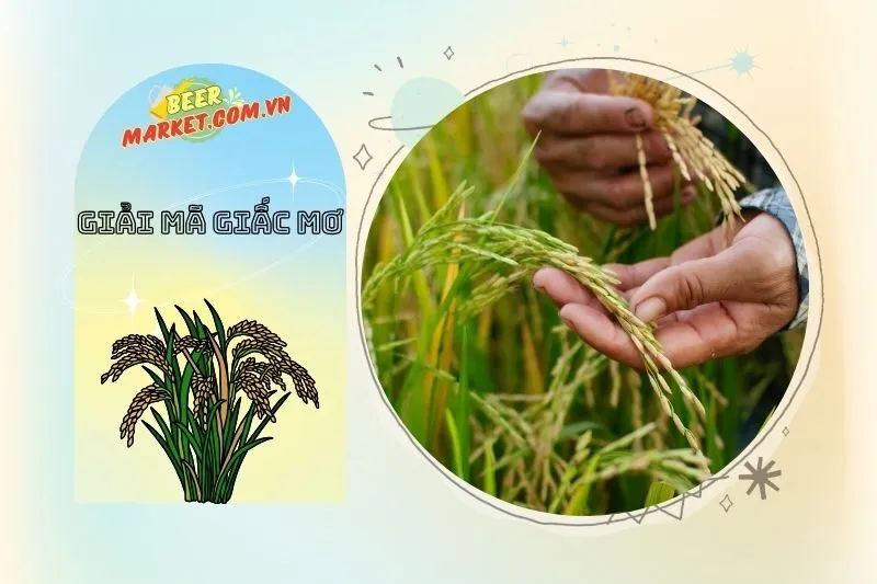 Tìm Hiểu Các Loại Lúa và Ý Nghĩa Của Chúng Trong Giấc Mơ