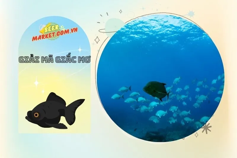 Tính cách và quyết định trong cuộc sống qua giấc mơ thấy cá đen