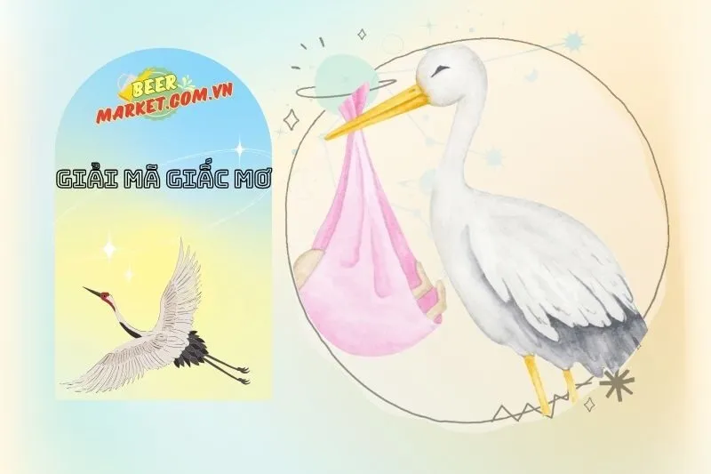 Tình Huống Mơ Thấy Con Cò Và Các Bước Tiếp Theo