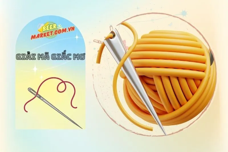 Ý nghĩa chính của nằm mơ thấy cây kim