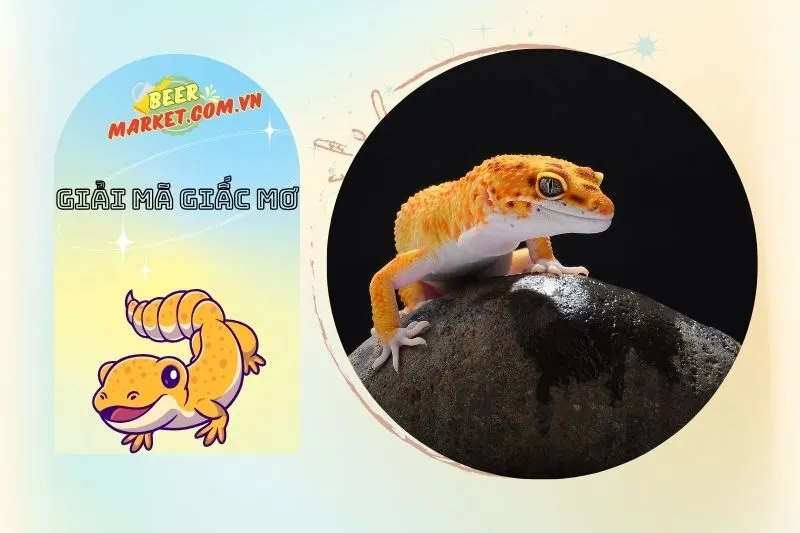 Ý nghĩa của việc nằm mơ thấy tắc kè