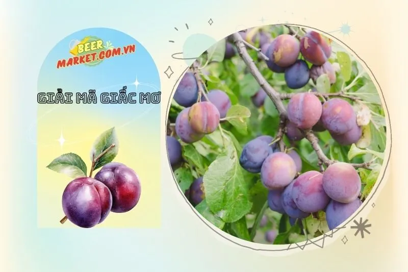 Ý nghĩa giấc mơ thấy cây mận trong đời sống thực tế