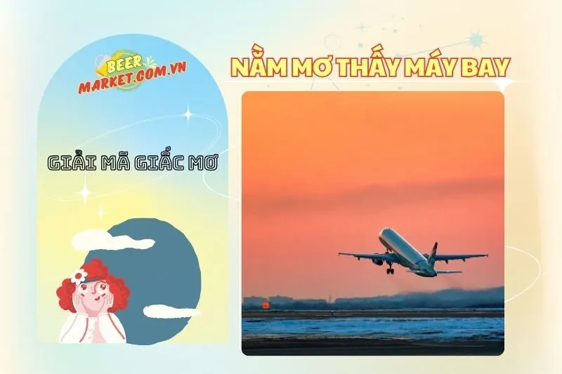 Ý Nghĩa Giấc Mơ Thấy Máy Bay: Giải Mã và Các Tình Huống Mơ Thường Gặp