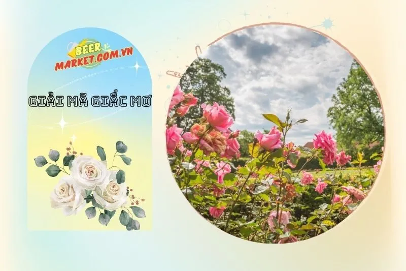Ý nghĩa nằm mơ thấy cây hoa hồng