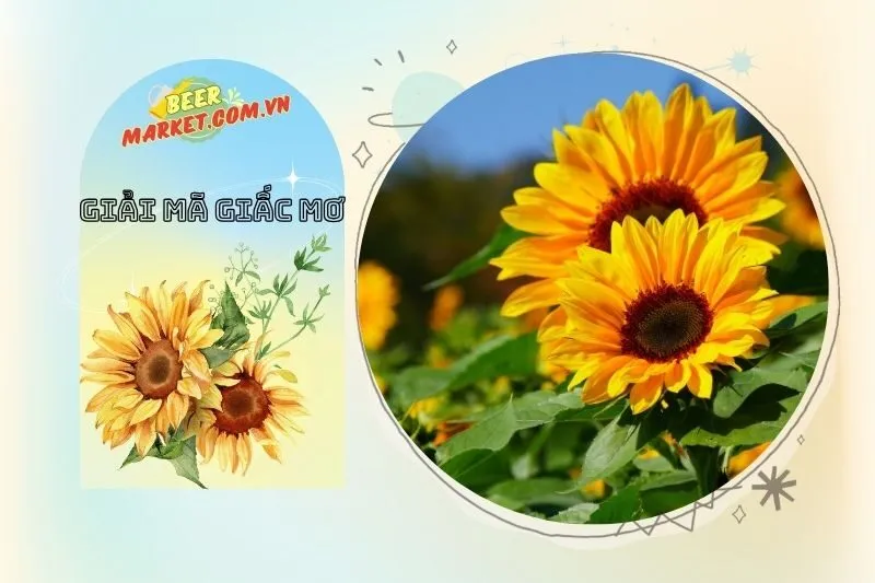 Con Số May Mắn Liên Quan Đến Giấc Mơ Hoa Hướng Dương