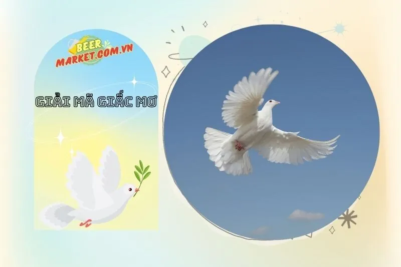 Con Số May Mắn Liên Quan Đến Giấc Mơ Thấy Chim Bồ Câu