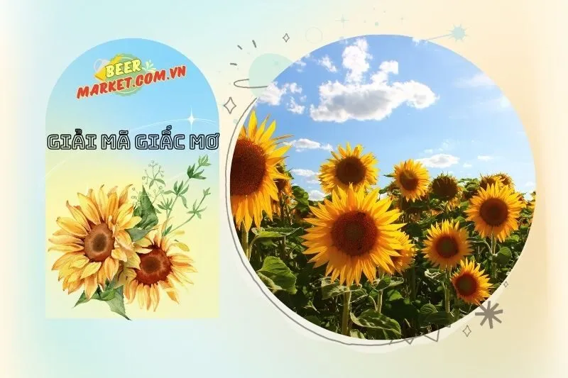 Giấc Mơ Hoa Hướng Dương Tươi: Điềm Báo Hạnh Phúc và Tình Yêu