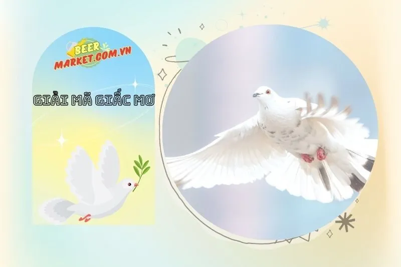 Giấc Mơ Thấy Chim Bồ Câu Liên Quan Đến Gia Đình Và Tình Cảm