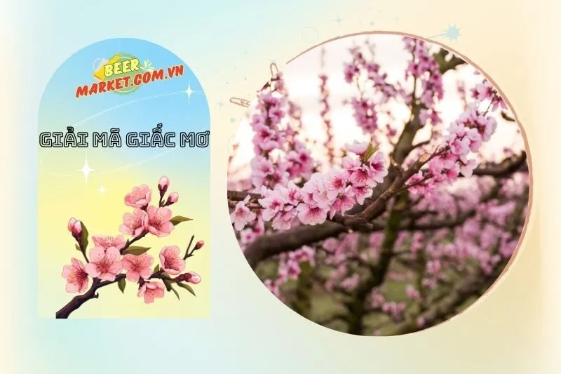 Giải mã nằm mơ thấy hoa đào: Điềm báo và ý nghĩa