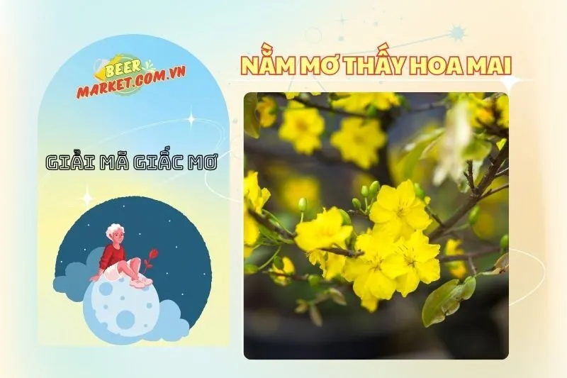 Giải Mã Nằm Mơ Thấy Hoa Mai Vàng - Điềm Báo Và May Mắn 2025