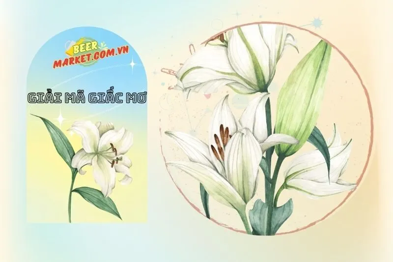 Giải mã ý nghĩa khi nằm mơ thấy hoa huệ