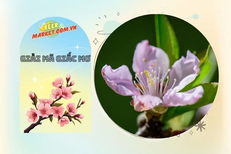 Mơ thấy hoa đào héo - Điềm báo chia ly và mất mát