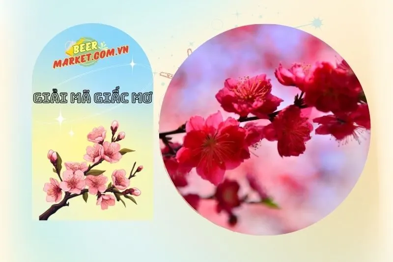 Mơ thấy hoa đào nở - Điềm báo về gia đình và tài lộc