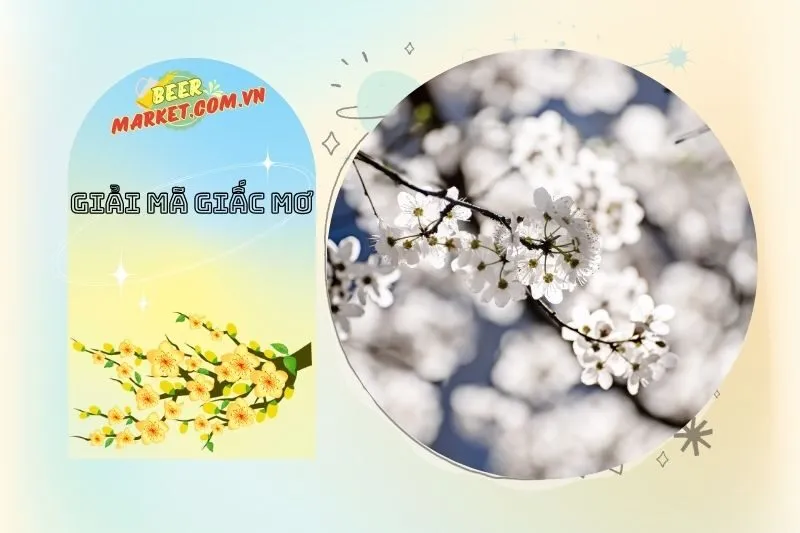 Mơ Thấy Hoa Mai Và Con Số May Mắn
