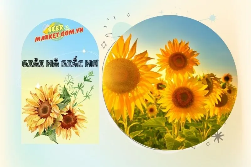 Mơ Thấy Mình Nhận Hoa Hướng Dương: Điềm Báo Của Lời Khen và Thành Tựu