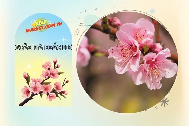 Mối quan hệ giữa hoa đào và tình yêu trong giấc mơ