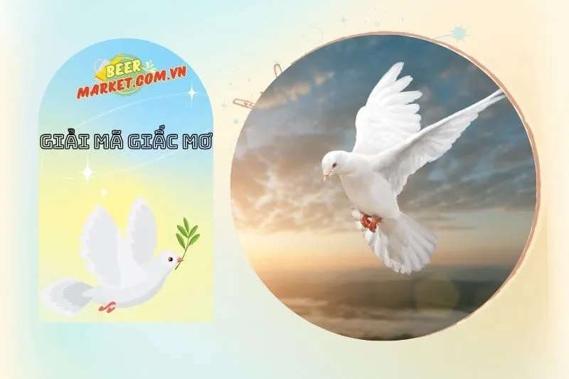 Nằm Mơ Thấy Chim Bồ Câu Có Ý Nghĩa Gì?