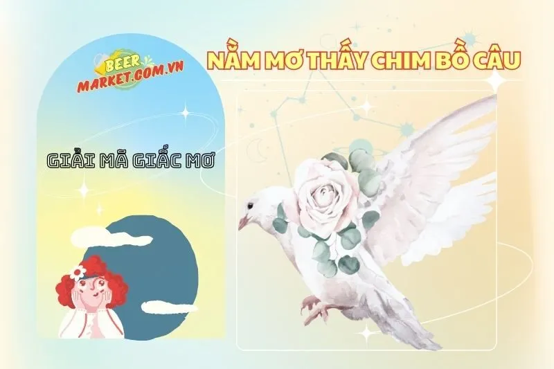 Nằm Mơ Thấy Chim Bồ Câu: Ý Nghĩa, Điềm Báo Và Tài Lộc 2025