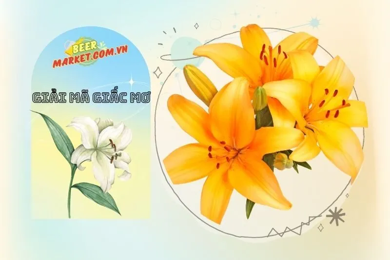 Nằm mơ thấy hoa huệ liên quan đến con số may mắn nào?