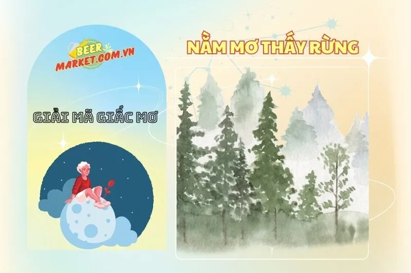 Nằm mơ thấy rừng là điềm báo gì? Giải mã chi tiết và con số may mắn