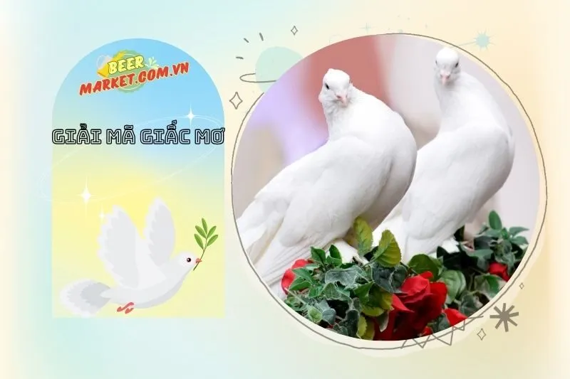 Những Cảnh Báo Và Lời Khuyên Khi Mơ Thấy Chim Bồ Câu