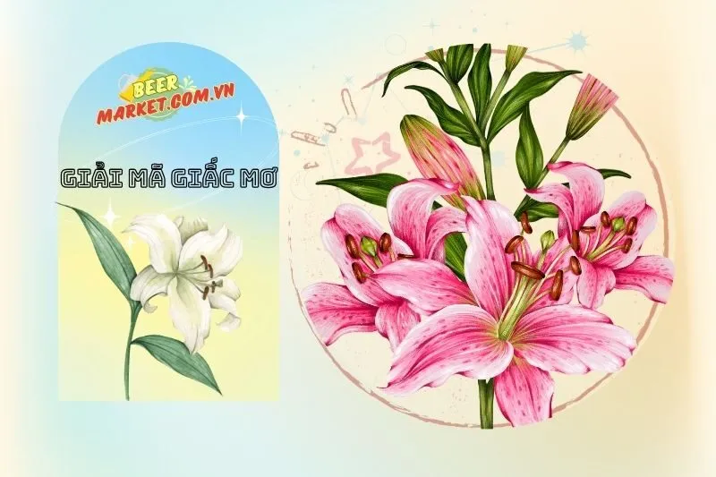 Những điềm báo khi nằm mơ thấy hoa huệ theo từng trường hợp cụ thể