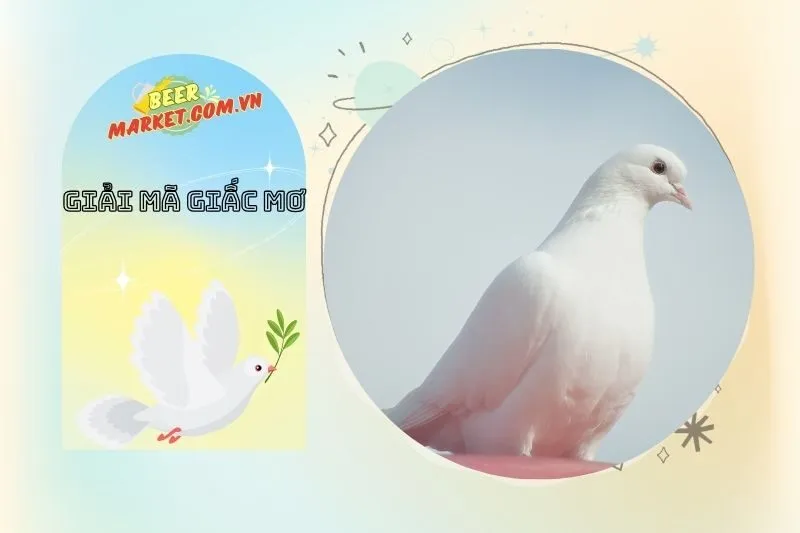 Những Giấc Mơ Thấy Chim Bồ Câu Liên Quan Đến Tài Chính Và Sự Nghiệp