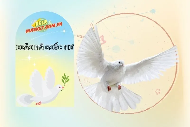 Những Loại Giấc Mơ Thấy Chim Bồ Câu Phổ Biến Và Ý Nghĩa Của Chúng