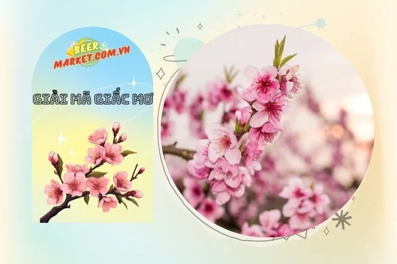Những loại hoa đào trong giấc mơ và con số may mắn
