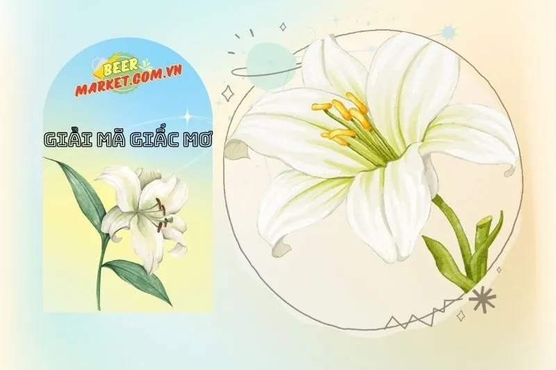 Tại sao nằm mơ thấy hoa huệ lại được coi là giấc mơ may mắn?