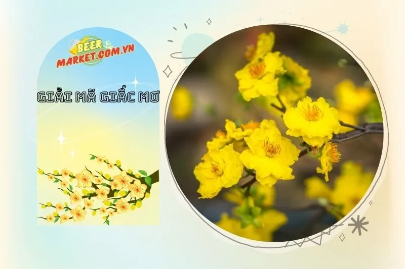 Tìm Hiểu Những Mơ Thấy Hoa Mai Liên Quan Đến Cơ Hội Và Thách Thức