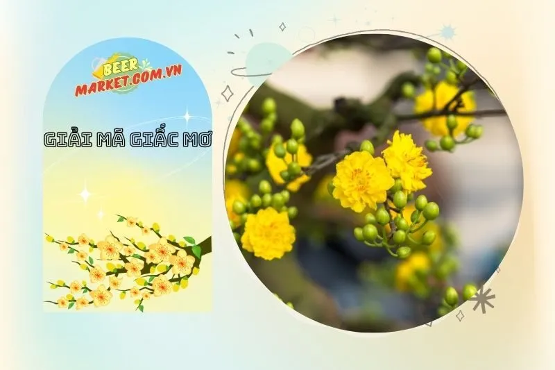 Ý Nghĩa Mơ Thấy Hoa Mai Trong Các Tình Huống Khác Nhau